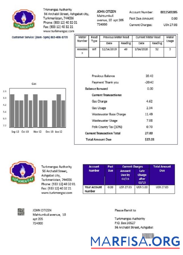 Blank Turkmenistan Turkmengaz utility bill template in Word and PDF format